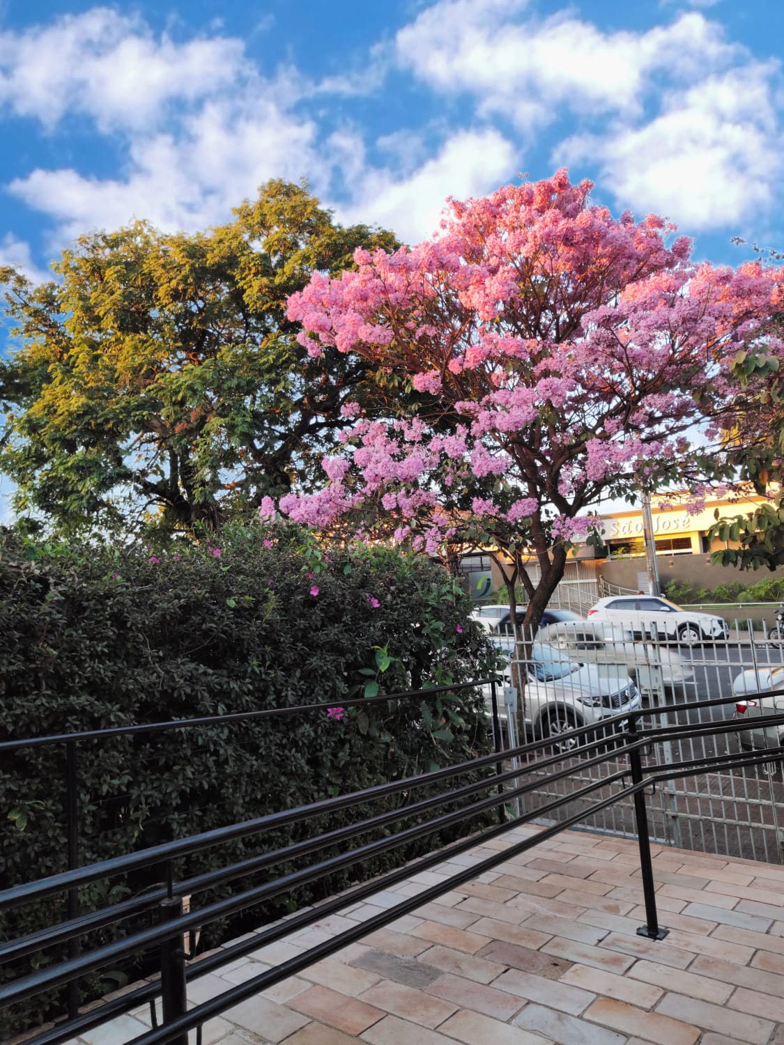 WhatsApp Image 2025-11-09 at 12.43.06